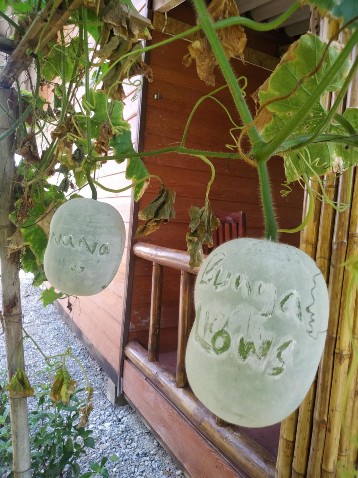 Nana Bungalows Ban Tan 客房 照片