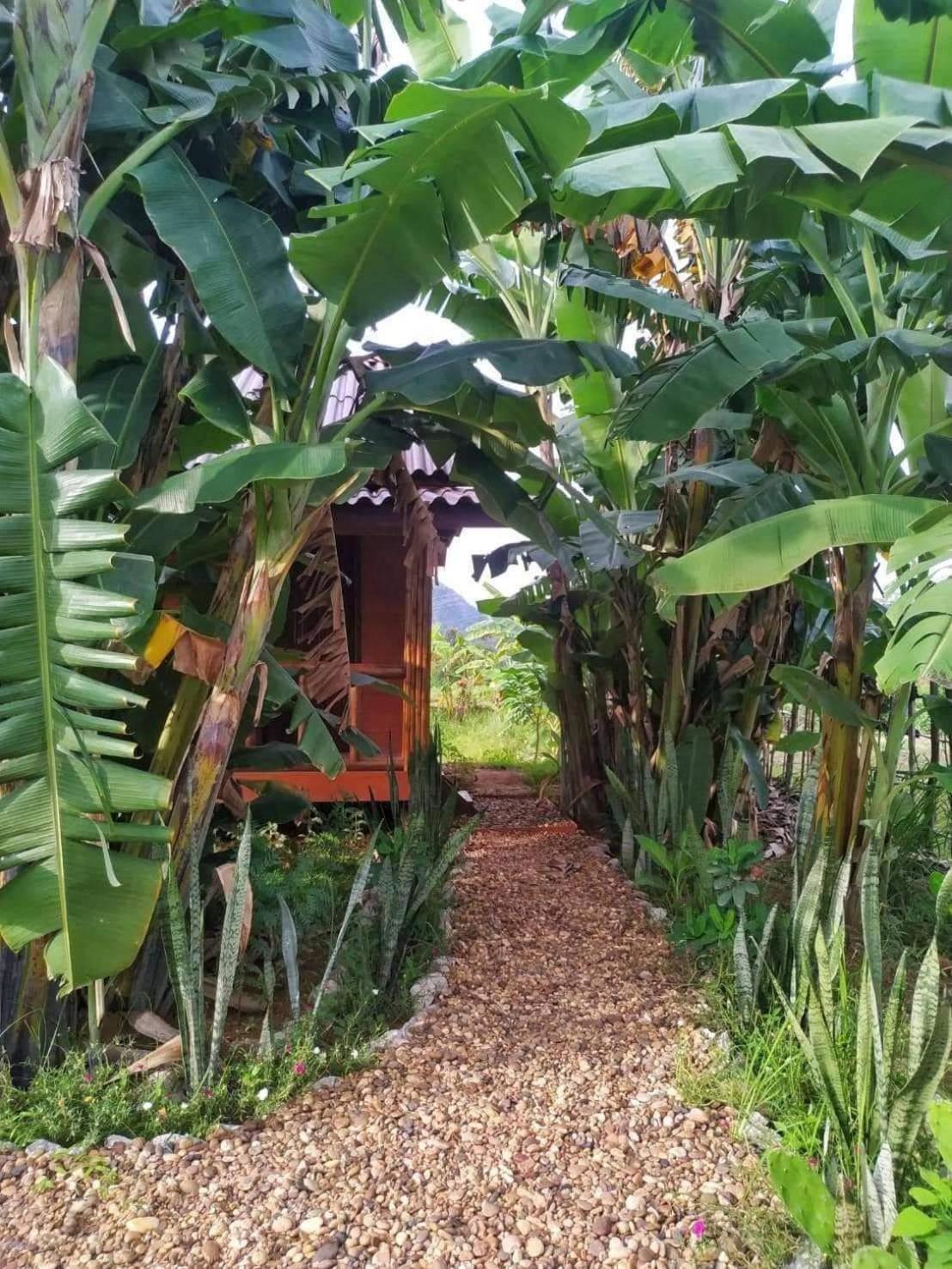 Nana Bungalows Ban Tan 客房 照片